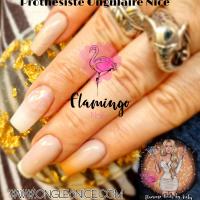 flamingo Beauty Onglerie nails Nice
